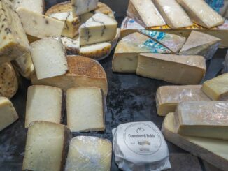 Les Meilleurs Fromages à Déguster : Un Voyage à Travers les Saveurs Lactées