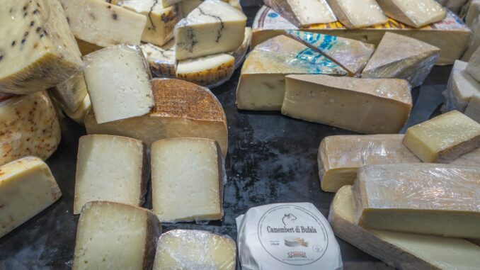 Les Meilleurs Fromages à Déguster : Un Voyage à Travers les Saveurs Lactées